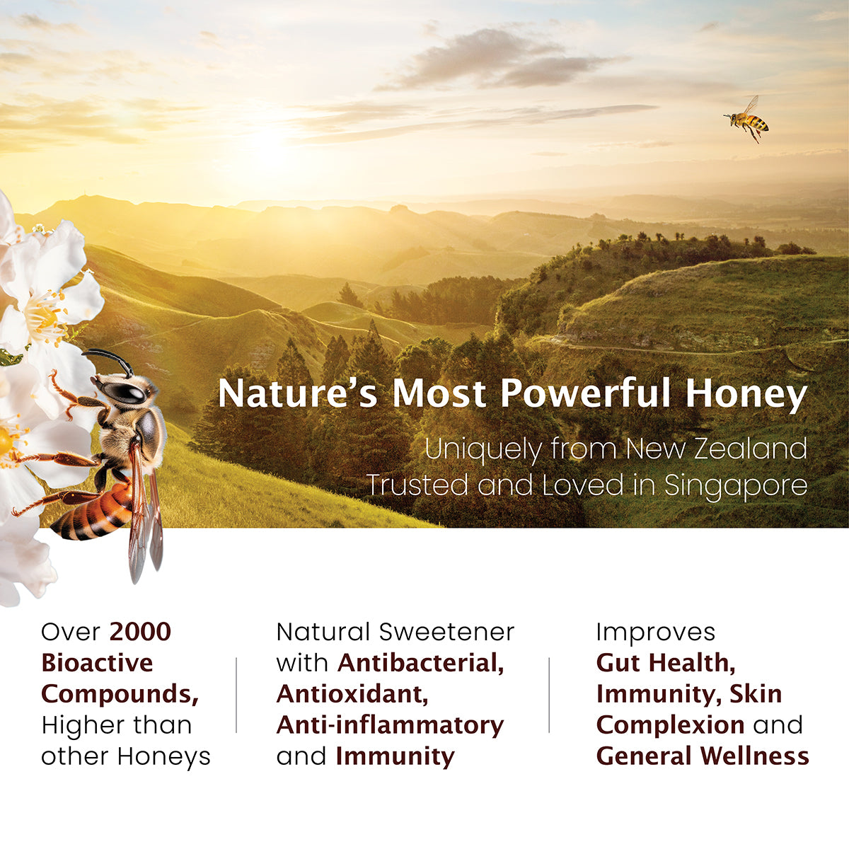 
                  
                    UMF™ 10+ Raw Manuka Honey
                  
                