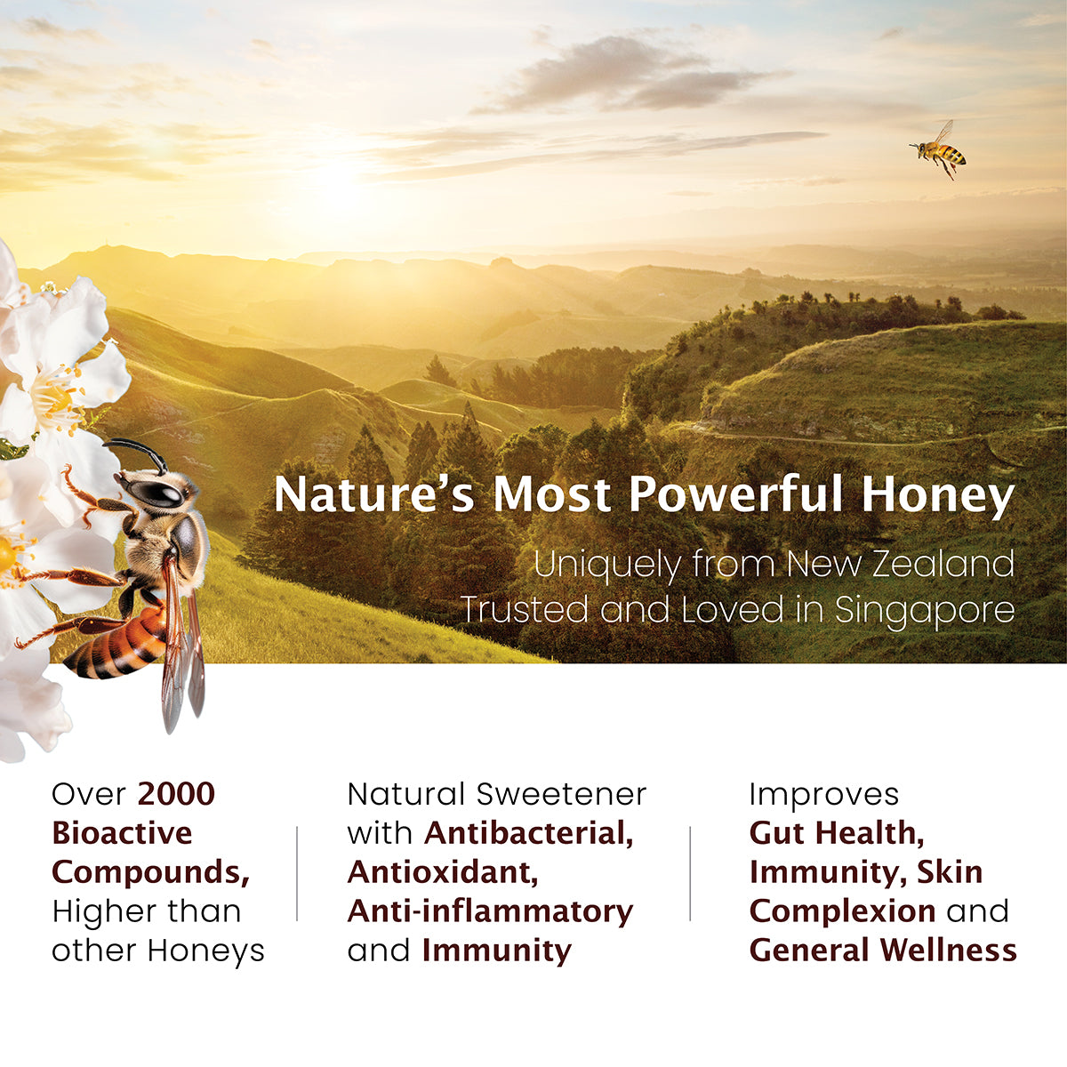 
                  
                    UMF™ 20+ Raw Manuka Honey
                  
                