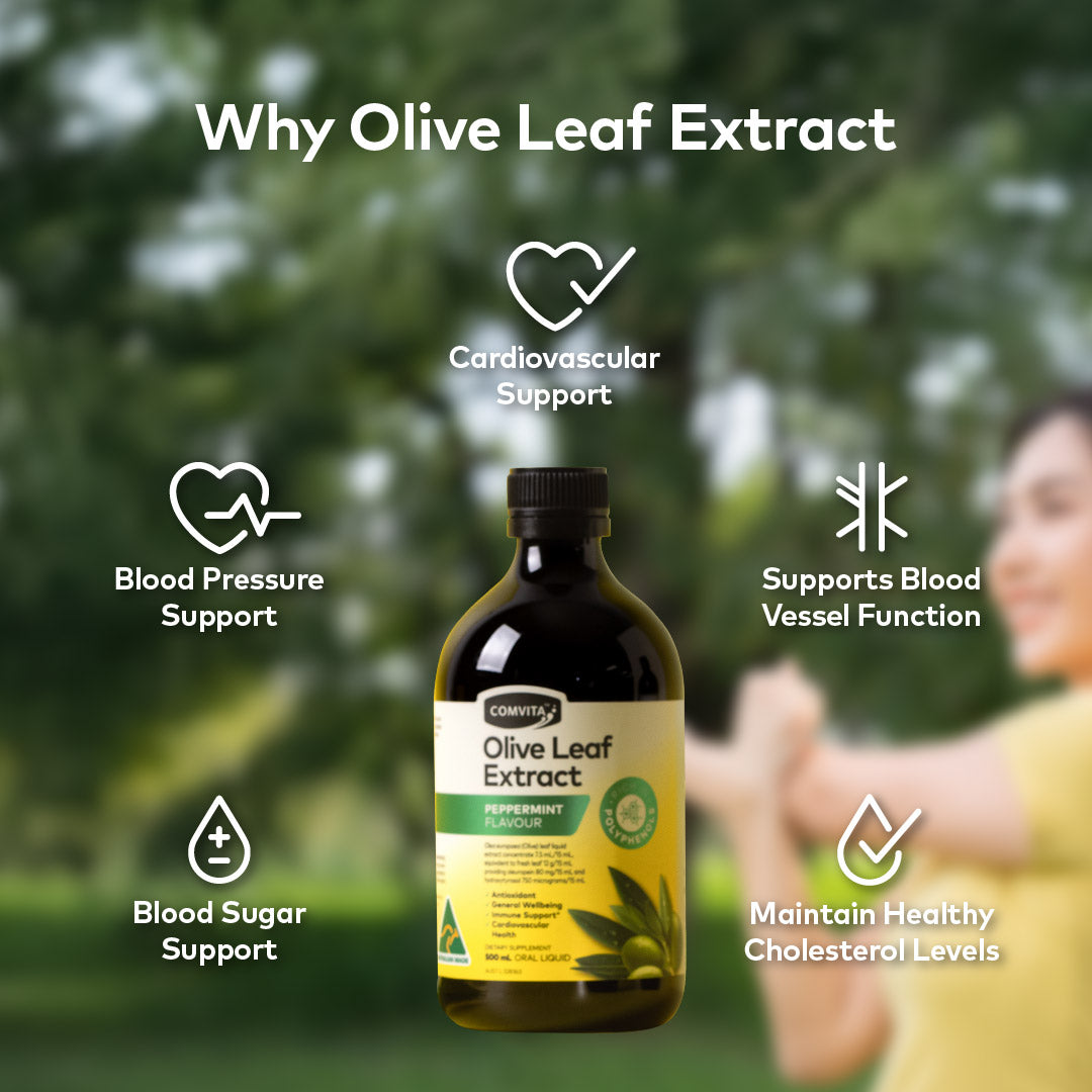 
                  
                    Olive Leaf Extract, 500ml
                  
                